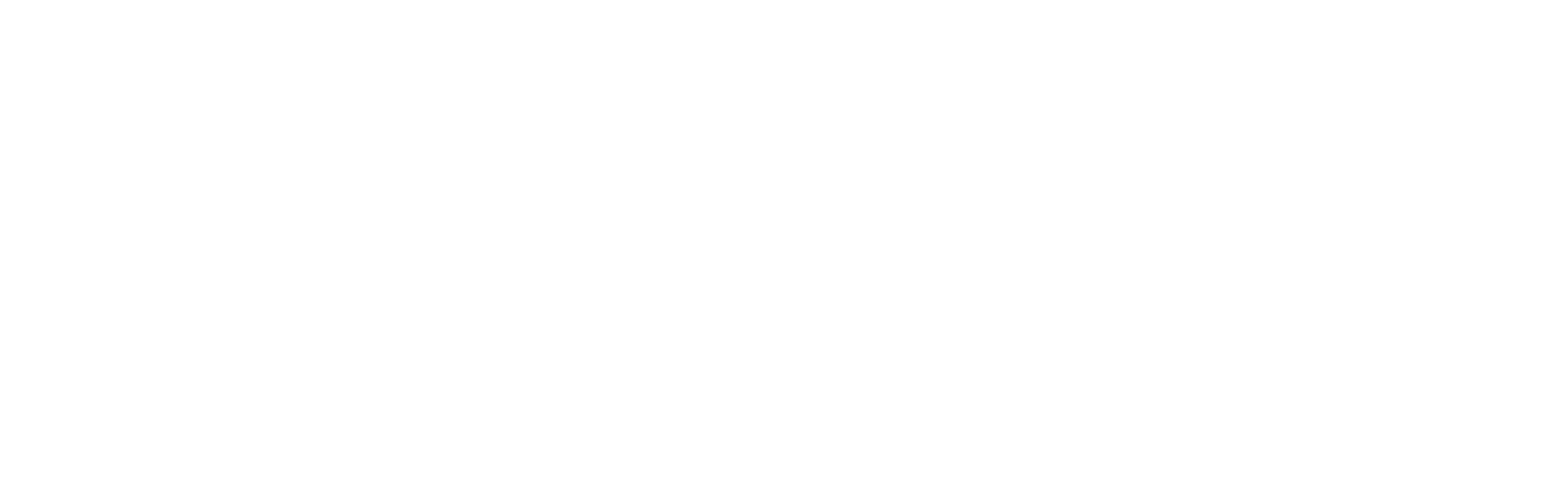 OWASP Buea